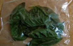 Congeler des feuilles de basilic Est-il possible de congeler du basilic frais ?