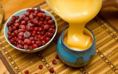 Hustenhonig - Heilrezepte mit Tee, Zitrone, Knoblauch oder Öl für Kinder und Erwachsene