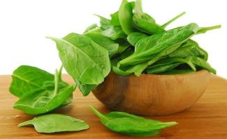 How to prepare and keep sorrel fresh and tasty at home for the winter How long to store sorrel