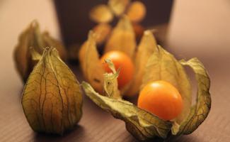 Physalis: do you know how to store it?