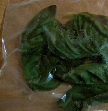 Freezing Basil Leaves Is it possible to freeze fresh basil?