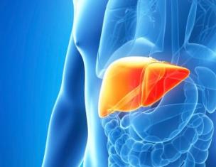 Fatty liver: symptoms, treatment and prevention