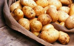 Dream Interpretation - why do you dream about potatoes?